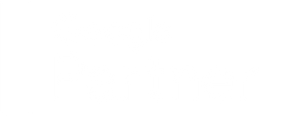 Google partner