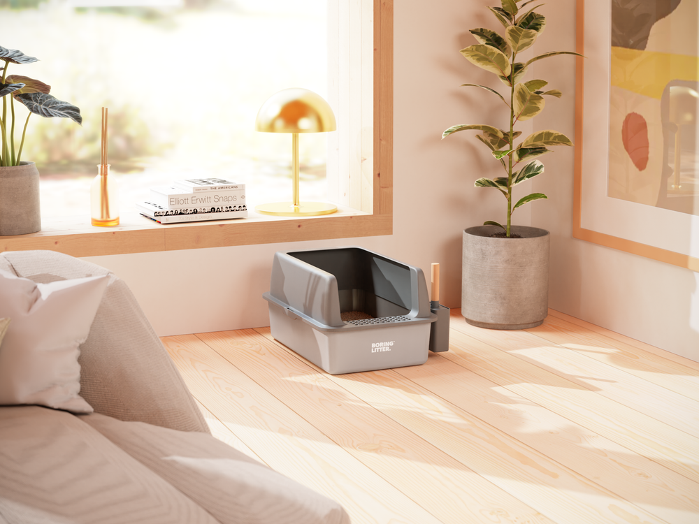 Boring Litter: sviluppo configuratore in Product Page (PDP)